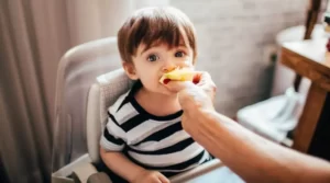 Lire la suite à propos de l’article ✨Chaise Haute Pour Bébé: Comment La Choisir ?????